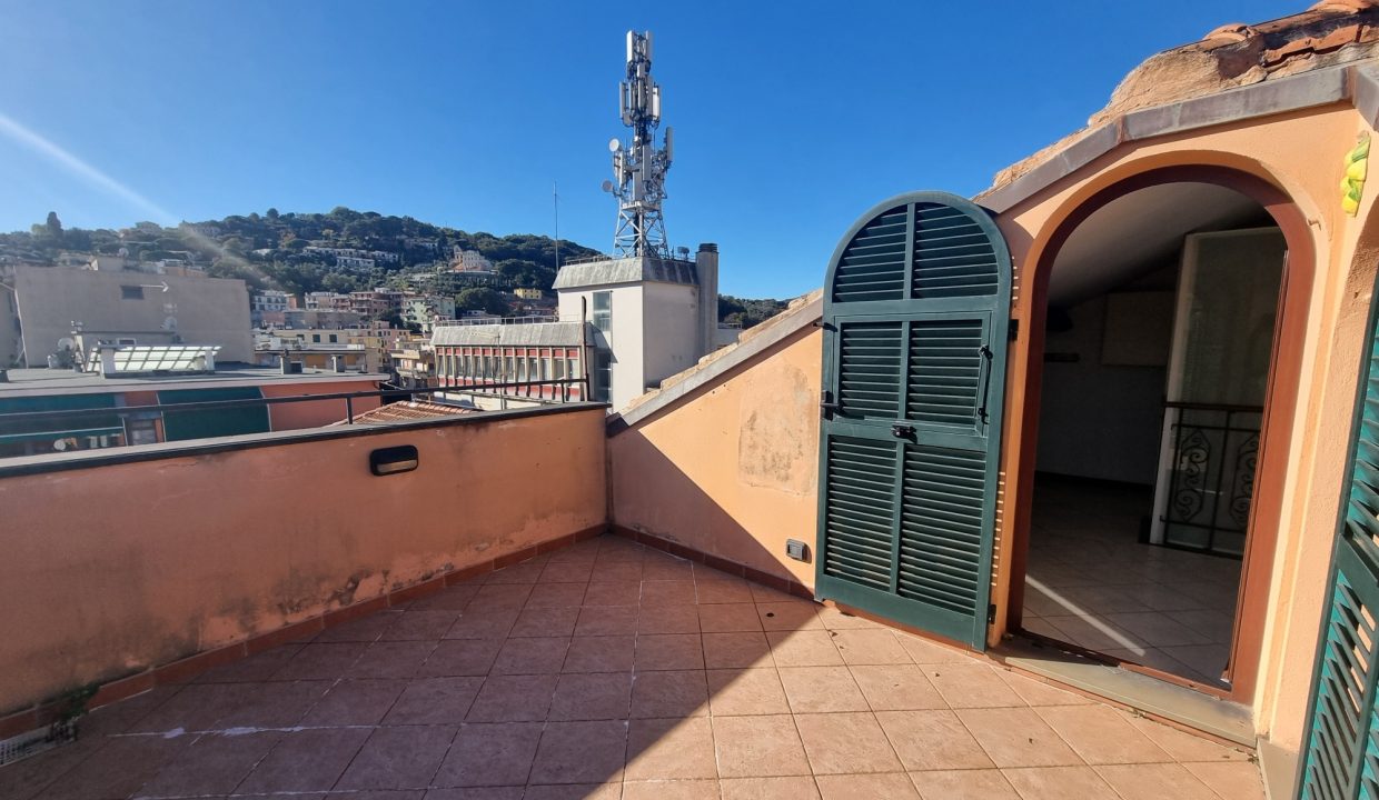 20241122_122314_resized